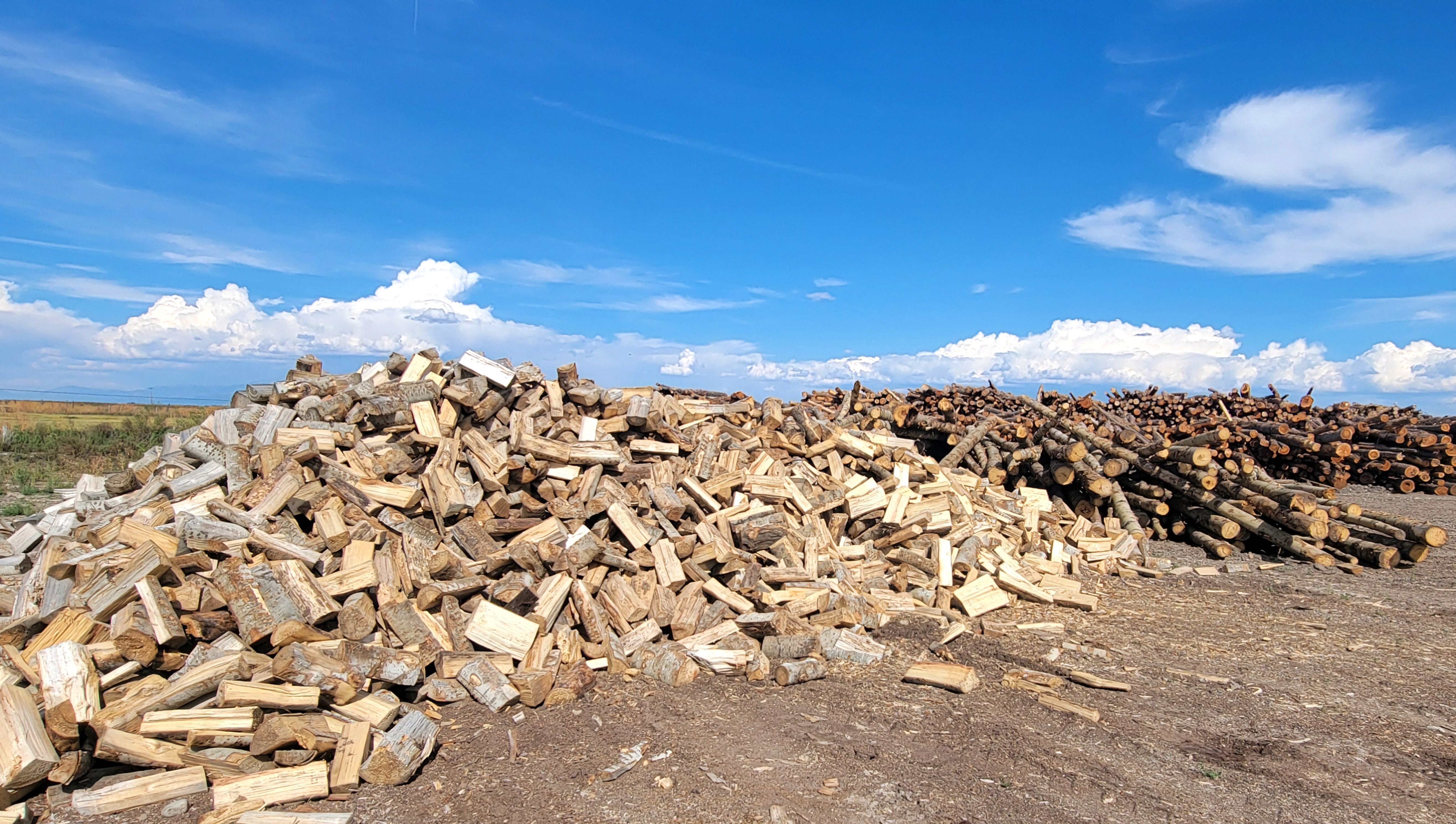 pile of aspen firewood, blocked and split