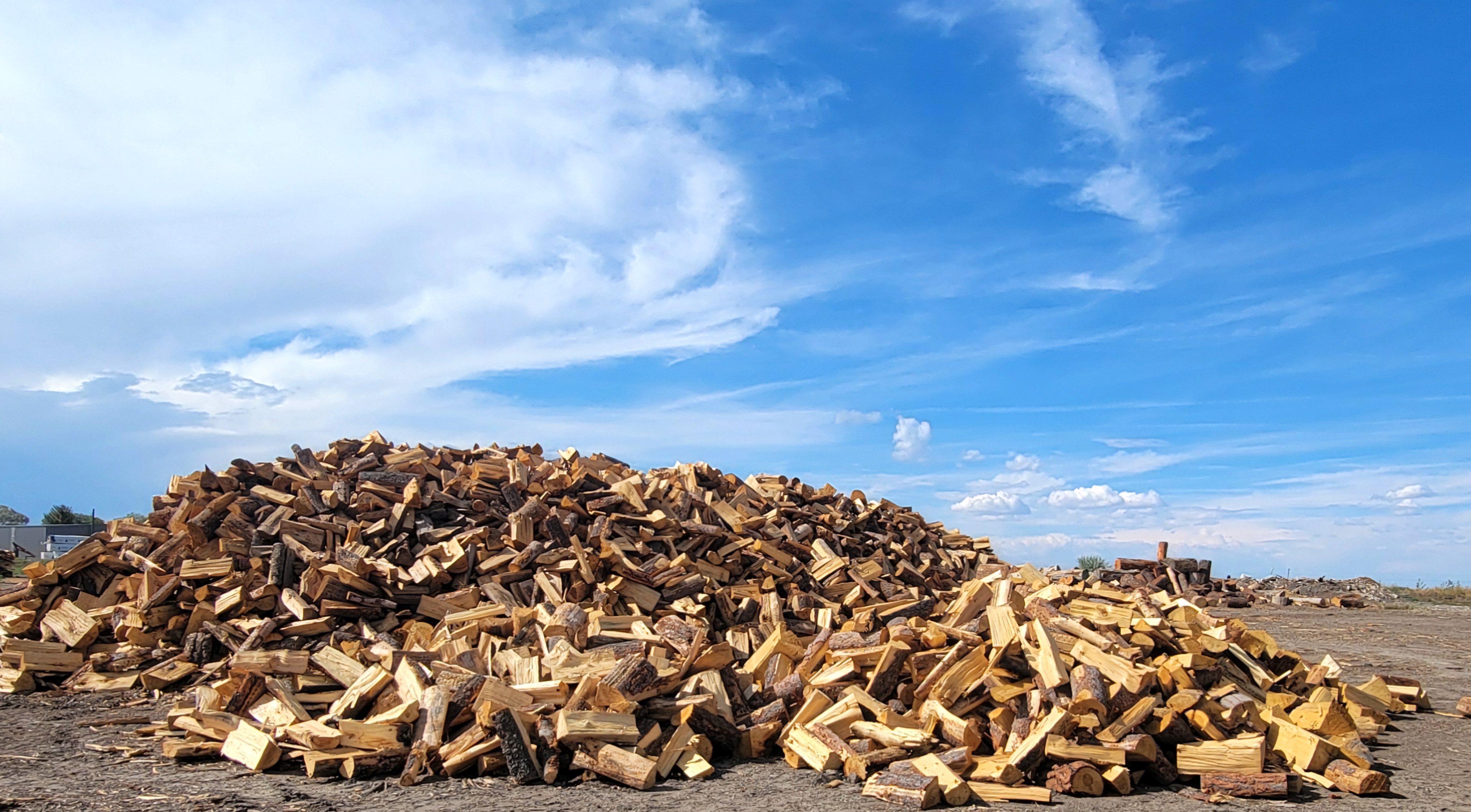 pile of aspen firewood, blocked and split