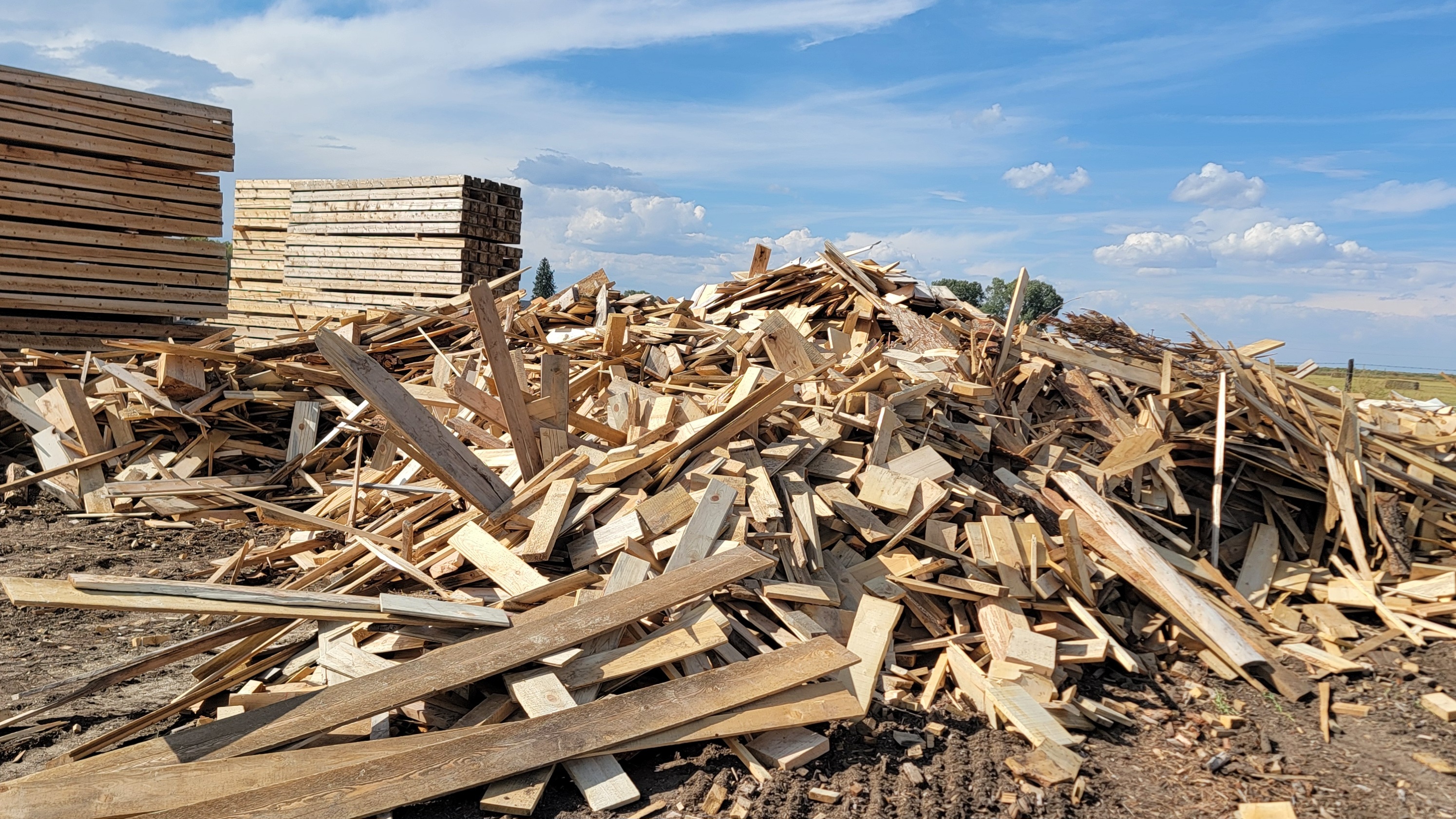 pile of aspen firewood, blocked and split